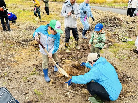 荒棄採石場|砕 跡地 に植栽 した 広葉樹4樹種 の 清水